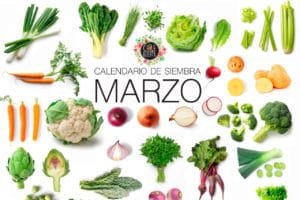 Calendario Marzo 2020 Slider