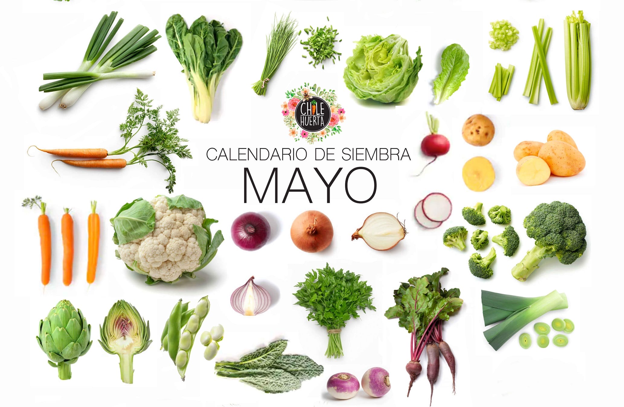 MAYO QUE SEMBRAR Slider