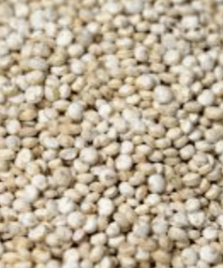 Semilla Quinoa