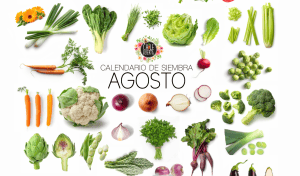 que sembrar AGOSTO 2020 Slider