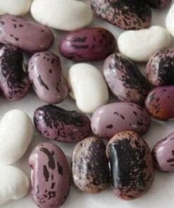 Semilla Poroto Pallar Mix