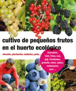 Cultivo de Pequeños Frutos en el Huerto