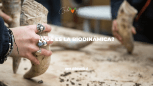 Que es la Biodinamica