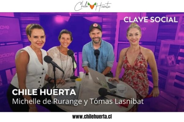 Clave Social