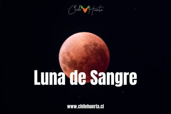 Luna de Sangre