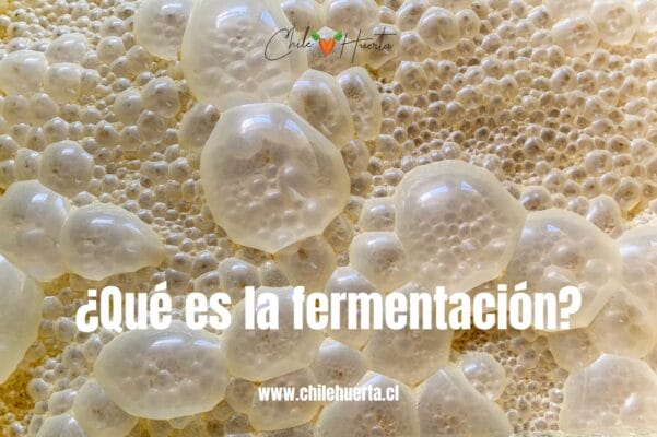 Que es la fermentacion