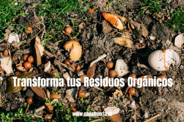 Transforma tus Reiduos Organicos